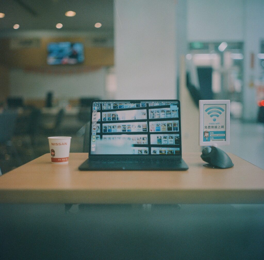 plr marketing digital